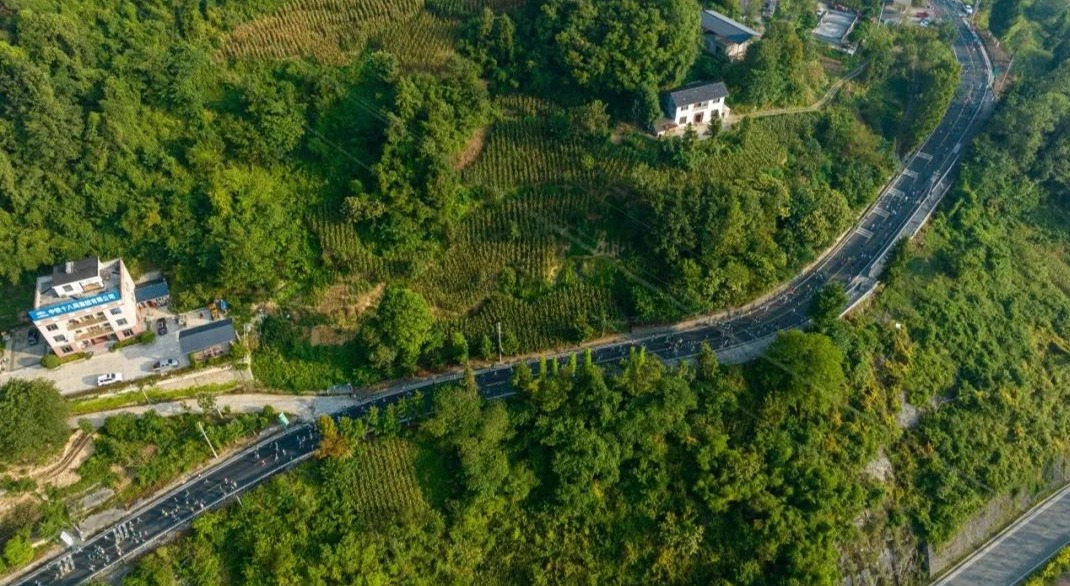 参赛指南｜野马参赛全流程指南：让你的21.0975公里跑得更从容
