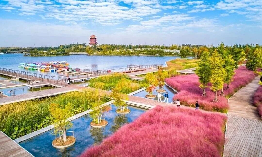 当任城半马遇上济宁景点，会擦出怎样的火花？