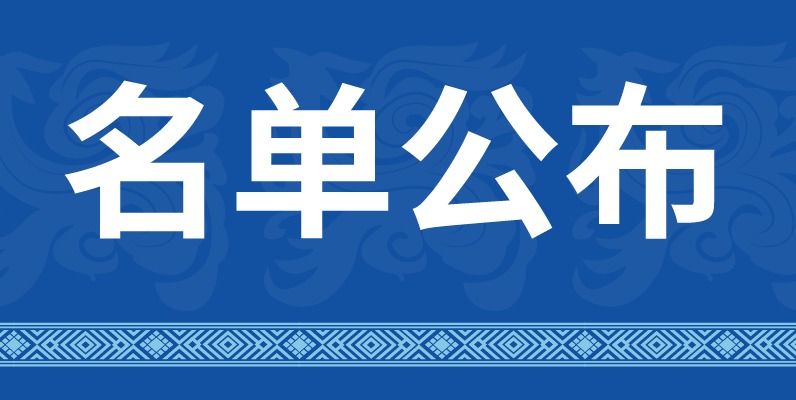 梦想领跑，安心护航！2025罗城半马“领航员”与“守护者”阵容亮相！