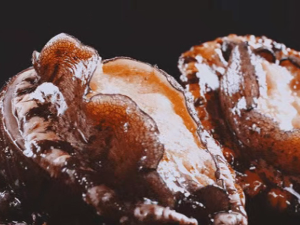 一条赛道能吃遍多少美食？来神行2025宁德马拉松，解锁山海滋味！