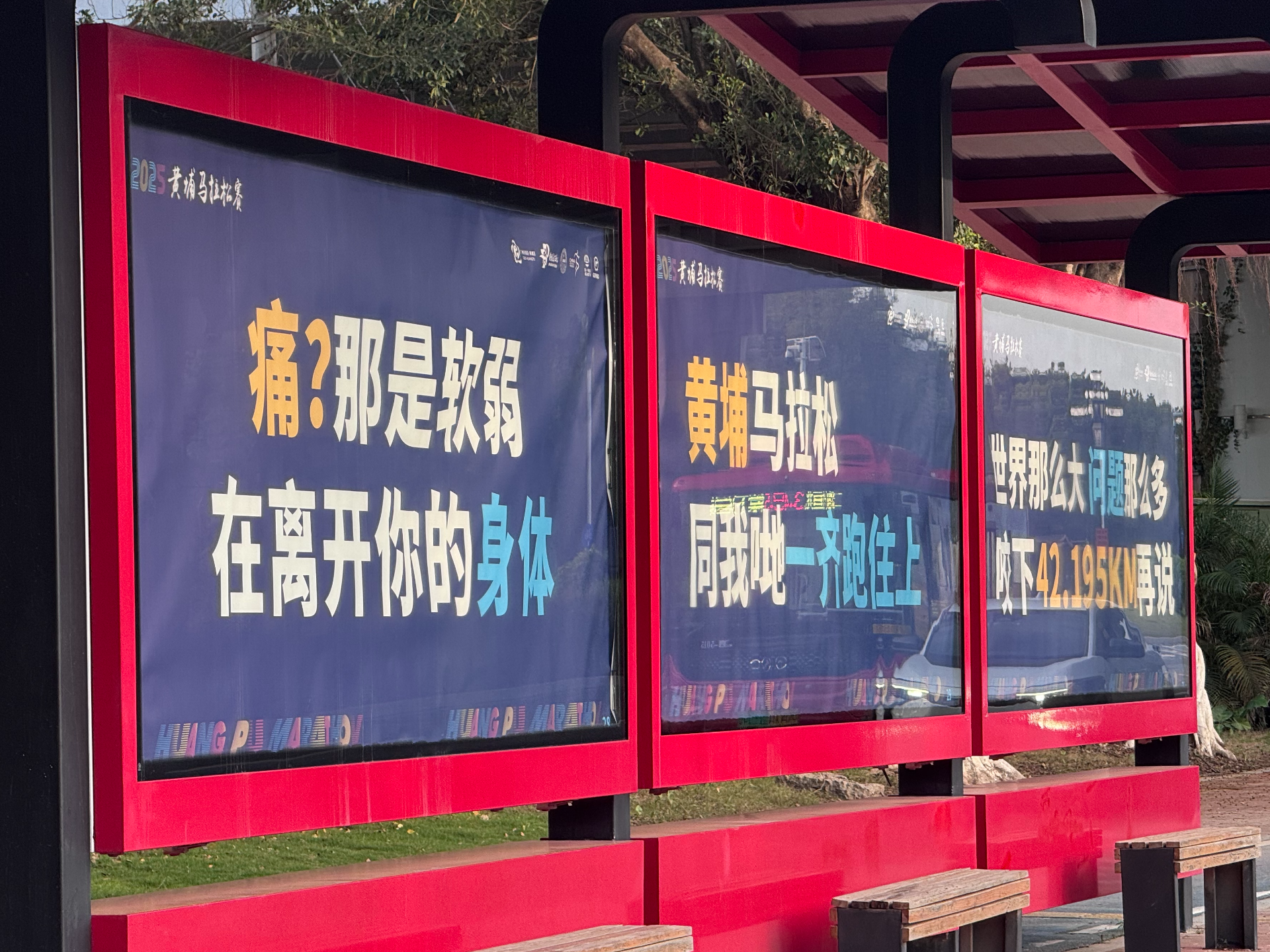 藏不住了！黄马氛围等你合拍！