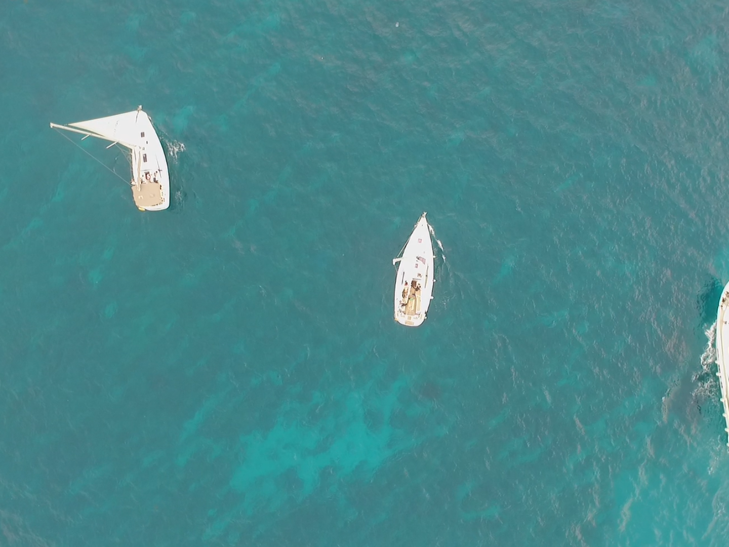 跑马赏景两不误！带你解锁十景十味的文旅盛宴
