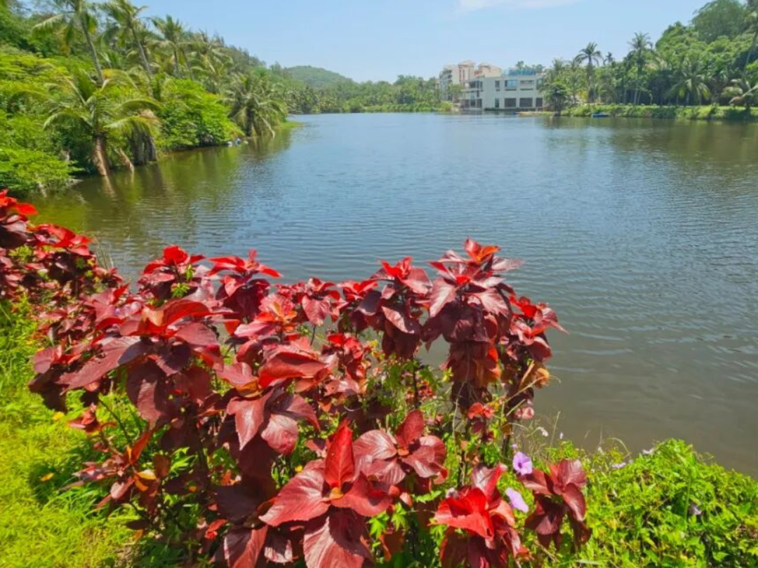 万宁马拉松摄影师招募！