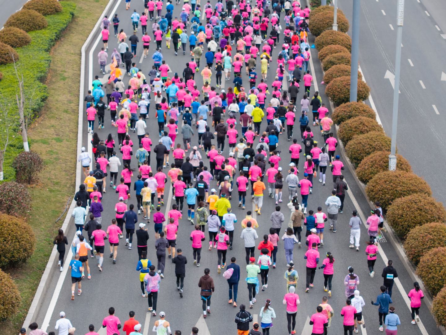 一封来自春天的邀请 | 官方摄影师招募开启！