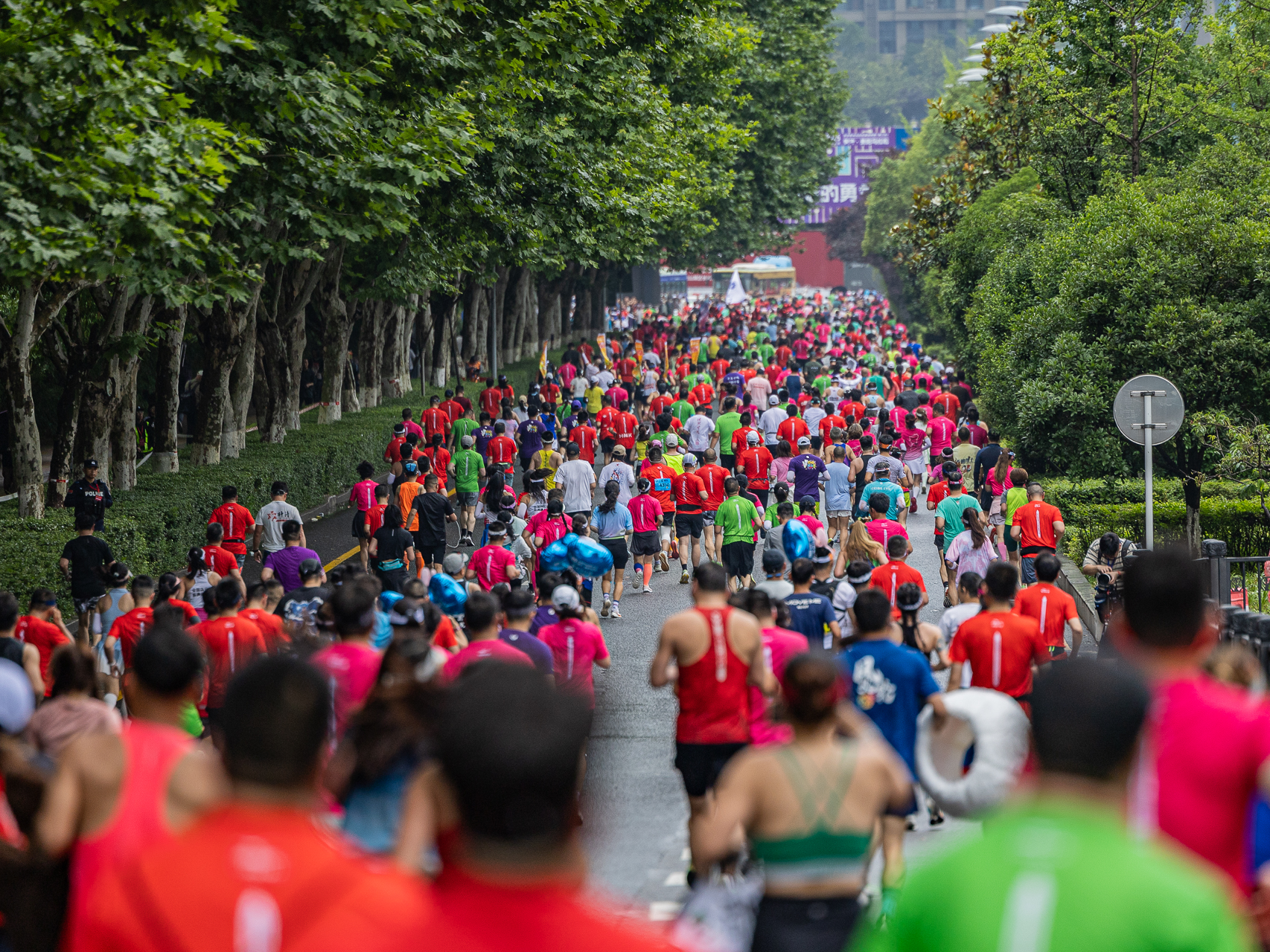 贵马，为什么值得你来这里？