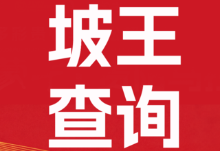 征服十八坡,荣耀属于你!坡王证书查询