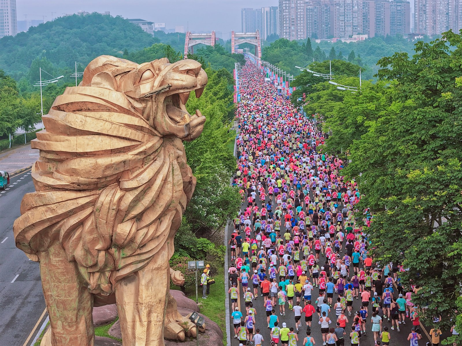 赛记 | 跑了场“贵马”，享十八般爽