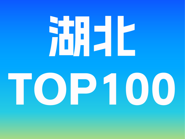 参赛规则 | 2026第一赛道·湖北TOP100