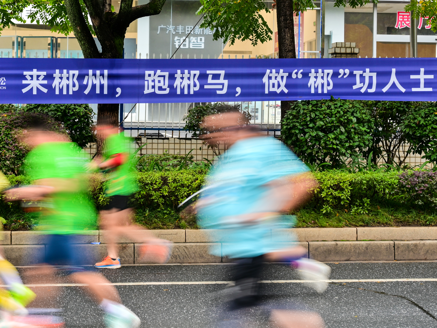 首马想报 2026 郴州马拉松？第一赛道测试赛帮你解锁参赛资格→