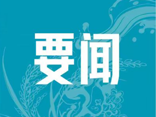 省田协专家组督导2026佛山市环两江稻田马拉松赛事筹备工作